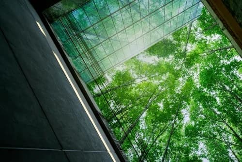 Reaching Hard-to-Access Stakeholders in a Highly Regulated Vertical